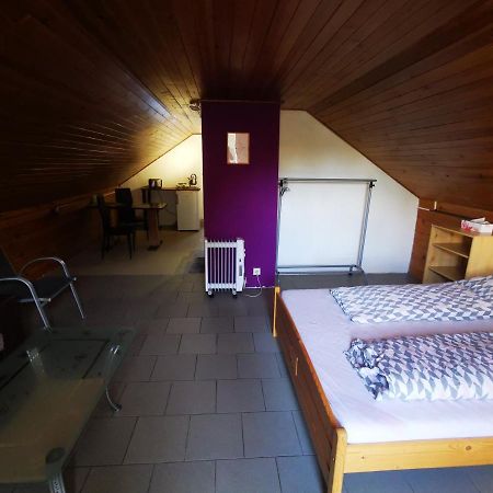 Apartments Zbraslav Prague Luaran gambar